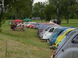  <a style='color: #fff;' href='/uploaded/photo/l-escargot-forestier-56c888b1cd080.jpg'>(Télécharger)</a>