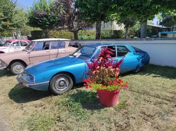  <a style='color: #fff;' href='/uploaded/photo/lechatelet-64e450ea83403.jpg'>(Télécharger)</a>