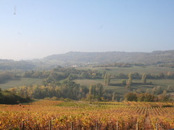  <a style='color: #fff;' href='/uploaded/photo/rallye-gourmand-nuits-saint-georges-20-octobre-2018-5bcb95b32a822.jpg'>(Télécharger)</a>