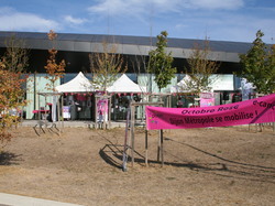  <a style='color: #fff;' href='/uploaded/photo/randonnee-de-longvic-5bb975b6bc439.jpg'>(Télécharger)</a>