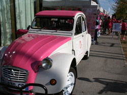  <a style='color: #fff;' href='/uploaded/photo/randonnee-de-longvic-5bb9763babbf8.jpg'>(Télécharger)</a>